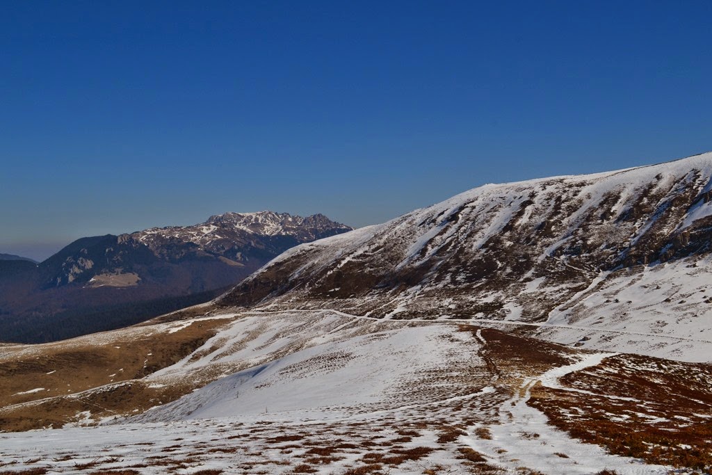 [DSC_57393.jpg]