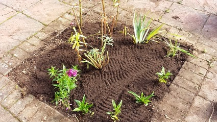 Look at me I've gardened!