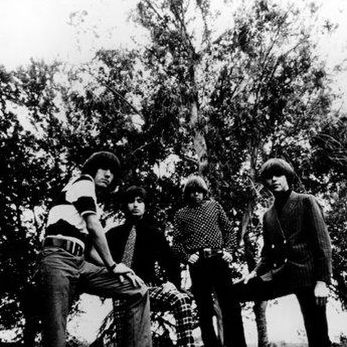 The Standells