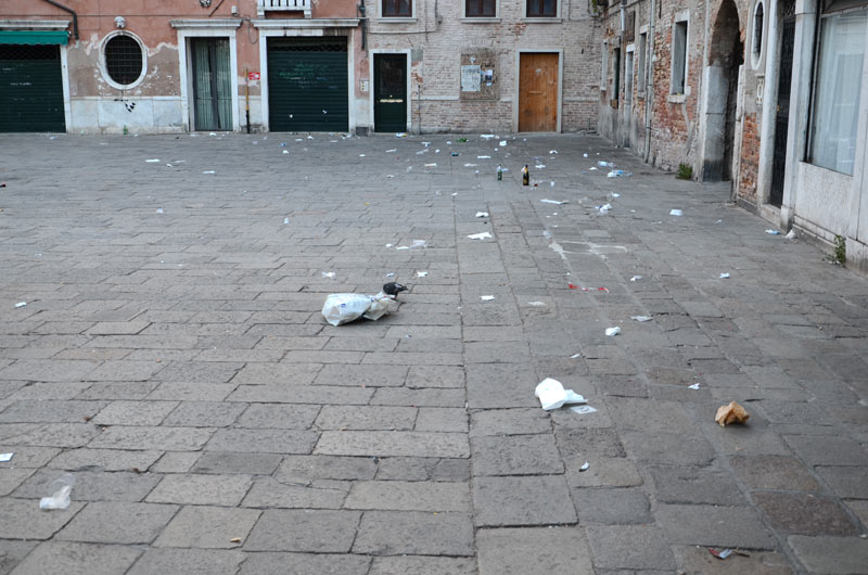 DSC_2324.jpg DSC 2324