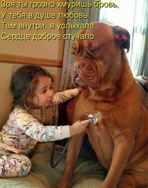 [9a423ea5e370b6b03398d7967c7%255B7%255D.jpg]