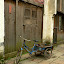 Wuzhen
