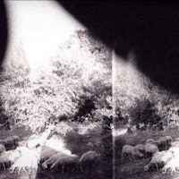 Asunder, Sweet and Other Distress