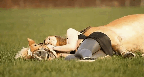 tumblr_mel578HBKv1rgbtigo1_500.gif