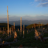 大台ケ原,9月(PK3_9879,Top)2014yaotomi_.jpg