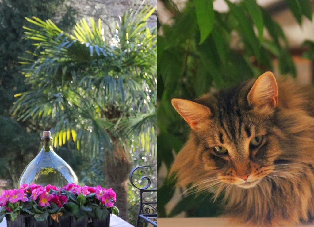 [3-2014_02_05%2520Safran%255B2%255D.jpg]