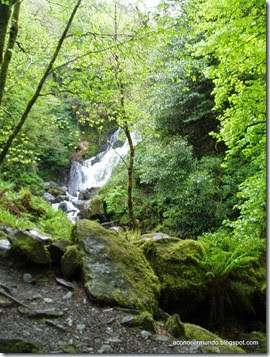 Península de Kerry. Torc Waterfall - P5060929
