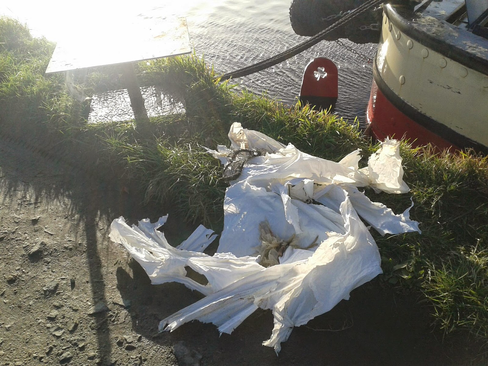 Narrowboat Darwin Weed hatch adventure