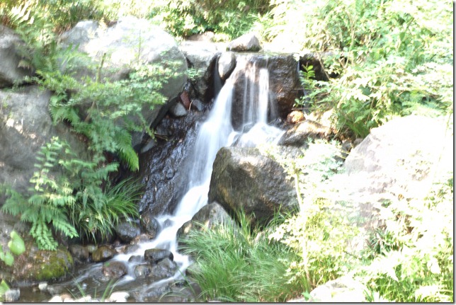 r-DSC00973 r-DSC00973