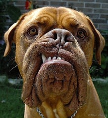 [91c76e%255B3%255D.jpg]