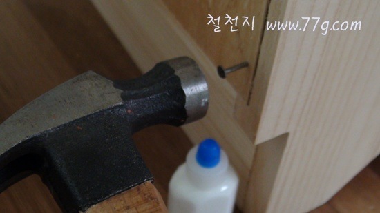[DSC02728-20111122-1355323.jpg]