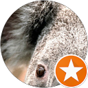 Stéphane B.,AutoDir