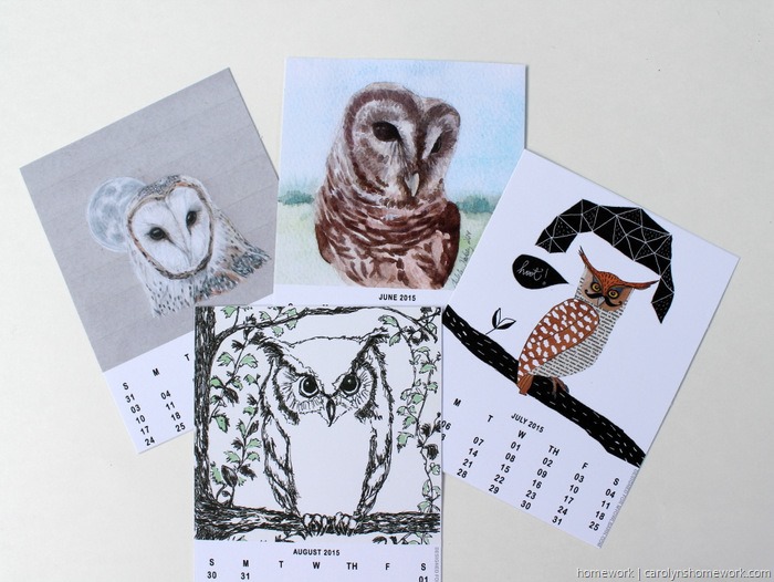 2015 Owl Lovers Calendar via homework (5)