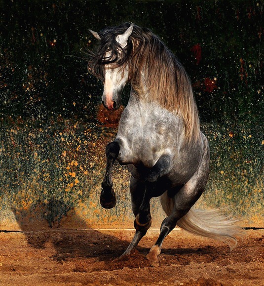 [79514943_11851790lg%255B2%255D.jpg]