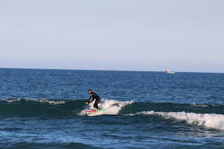 IMG_4247.JPG