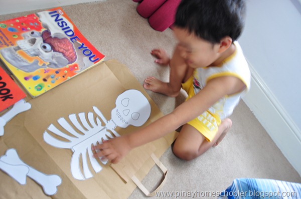 Assembling Our DIY Human Skeleton Puzzle