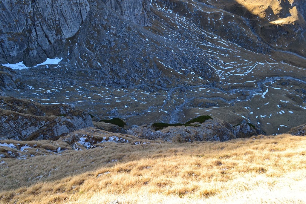 [DSC_08713.jpg]