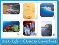 OCean-Life-Calendar-Connections342