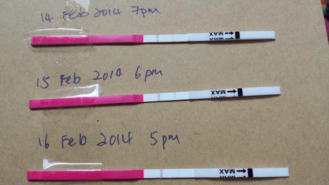 20140217_201054.jpg