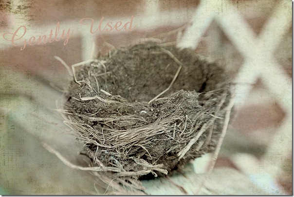 gently used birds nest