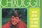 Chixdiggit
