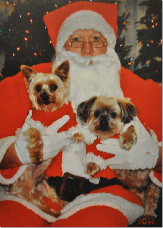 Simon & Teddy with Santa