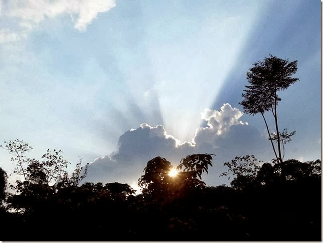 Transamazonica_DSC09093