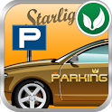 Parking King icon