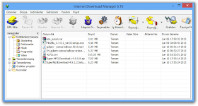 Internet Download Manager v6.17 b5 Türkçe