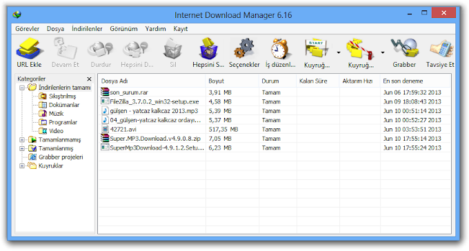 internet Download Manager Full Sürüm