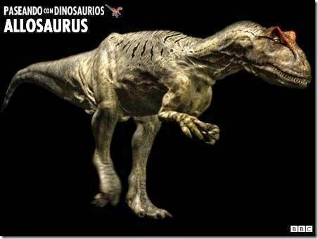Allosaurus PCD