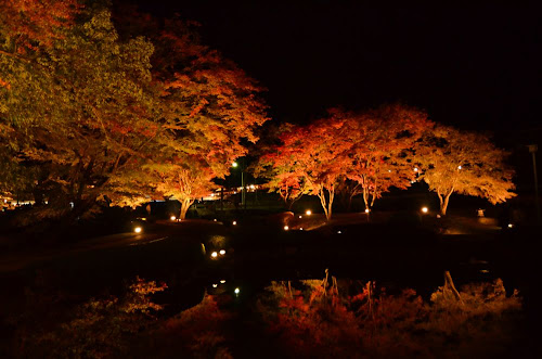 曽木公園の紅葉