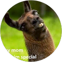 Chrissy Zajacs profile picture