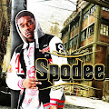 Spodee
