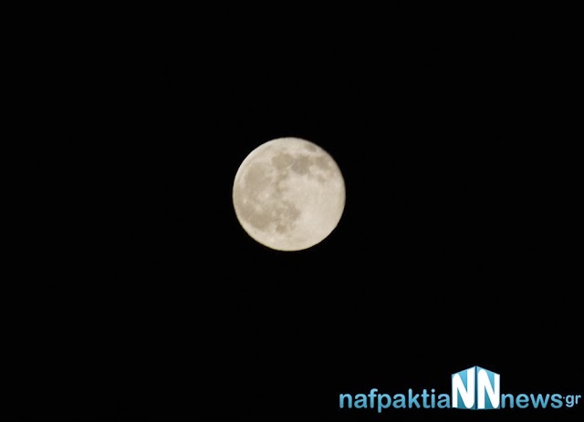 DSC_0824.jpg