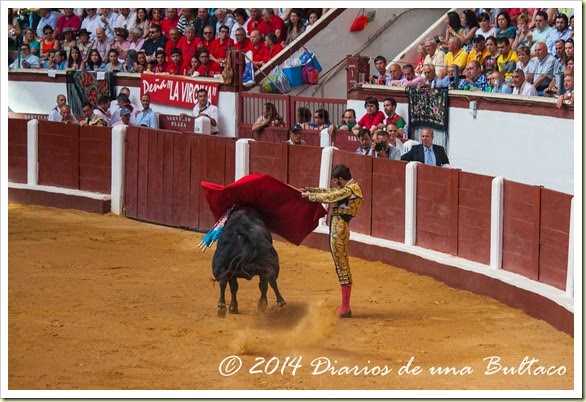 Toros 2014 (1)-29