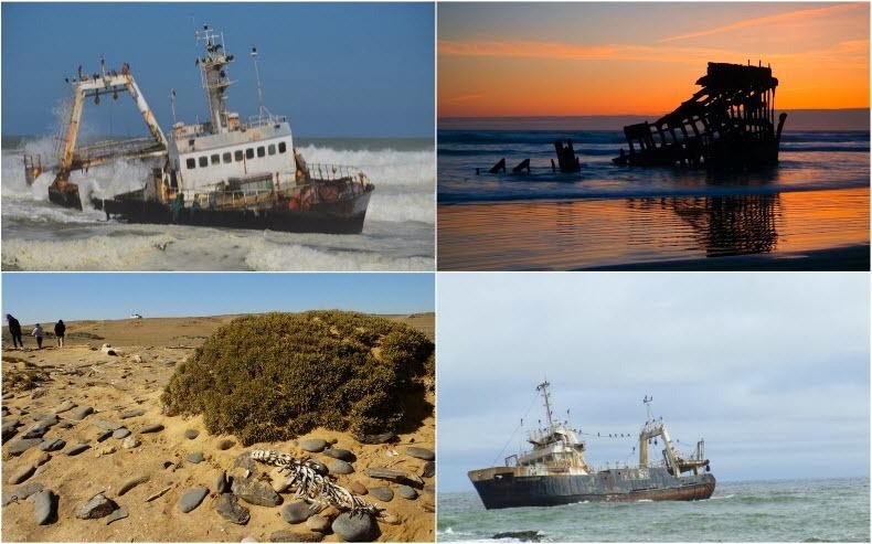 skeleton-coast skeleton-coast