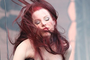 Sirenia