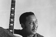 Muddy Waters
