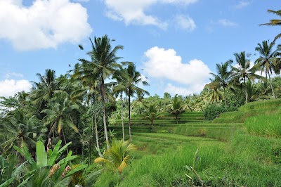 DSC_0050.jpg
