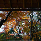 依水園,紅葉(PK3_0647,F9,21mm,K-3)2014yaotomi_.jpg