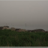 Trelleborg - Blick auf die vernebelte Ostsee