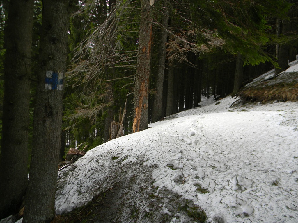 [DSCN64793.jpg]