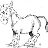 burro-t4380.jpg