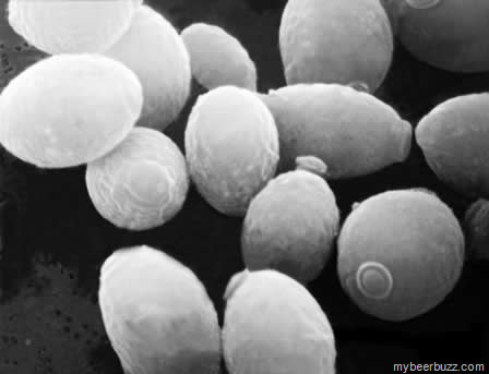 [image%255B2%255D.png]