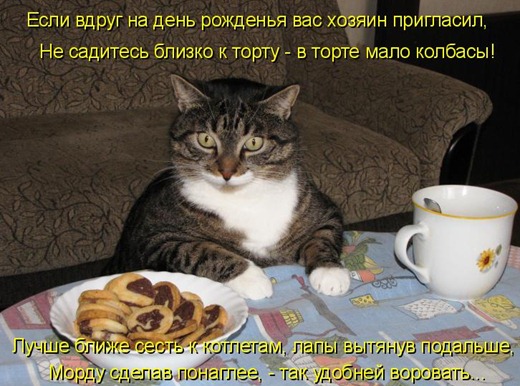 [kotomatrix_11%255B3%255D.jpg]