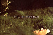 Perry Blake