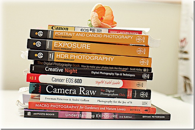Stack of Camera books