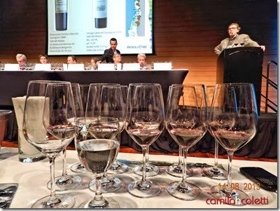 master-class-wines-of-chile2a