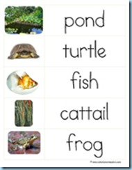 Word Cards Pond2